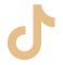 Tiktok Icon