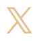 X Icon